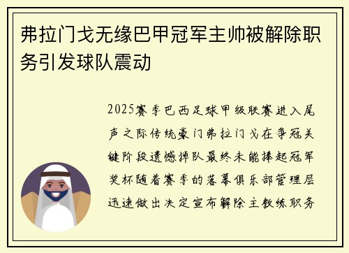 弗拉门戈无缘巴甲冠军主帅被解除职务引发球队震动